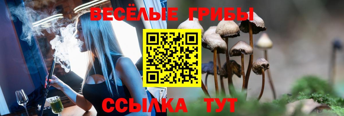 Псилоцибиновые грибы Psilocybine cubensis Алексеевка